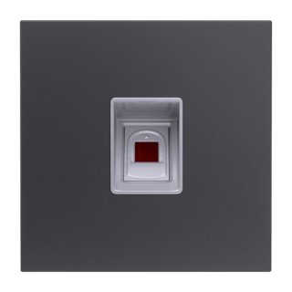 GOLIATH Hybrid IP & 2-Draht Fingerprint Modul Anthrazit (Biometrisch, bis zu 2999 Fingerabdrücke)